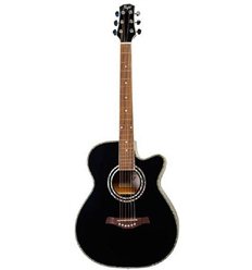 Flight F-230 BLK akustična gitara paket