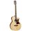 Tanglewood TW145 SS CE Premier Natural elektro-akustična gitara
