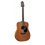 TAKAMINE GD11M-NS