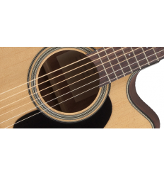 TAKAMINE GD10CE NS akustična gitara