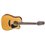 Takamine GD30CE-12 NAT elektro akustična gitara