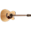 Takamine GJ72CE Natural elektro akustična gitara