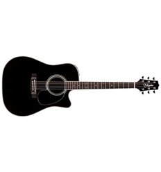 Takamine EF341SC elektro akustična gitara