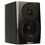 Dynaudio LYD-5 Black