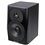 Dynaudio LYD-5 Black