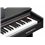 Kurzweil M90 Satin Rosewood električni klavir