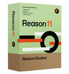 Reason 11 Standard