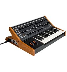 Moog Subsequent 25