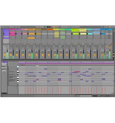 Ableton Suite 10