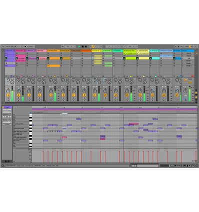 Ableton Suite 10