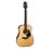 Takamine GD30 natural akustična gitara