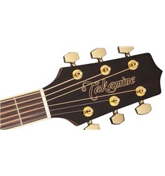 Takamine GD51 BSB akustična gitara
