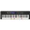 Casio LK-S450 