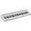 Casio CT-S1 WE