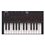 Akai Professional MPK Mini IV Black