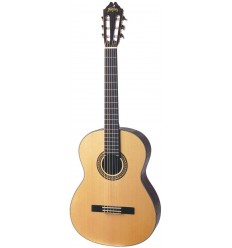 Washburn C80S