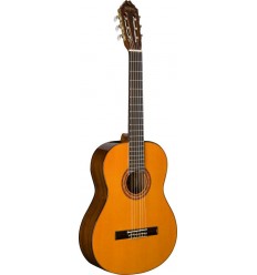 Washburn C5