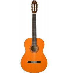 Washburn C5