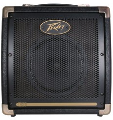 Peavey Ecoustic E20