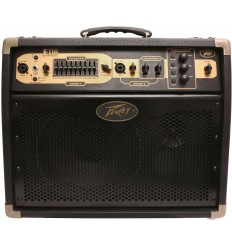 Peavey Ecoustic E110