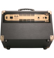 Peavey Ecoustic E110