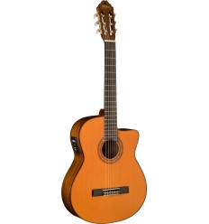 Washburn C5CE