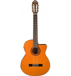 Washburn C5CE