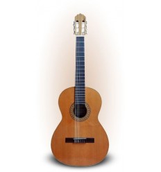 Joan Cashimira Model 36 (Studio) klasična gitara