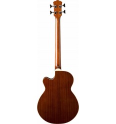 Washburn AB5 Natural elektro-akustična bass gitara
