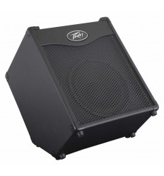 Peavey Max 110