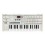 Korg microKORG S analogni synthesizer