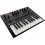 Korg monologue Black analogni synthesizer