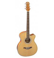 Flight F-230 NA akustična gitara paket