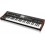 Behringer DeepMind 12 analogni synthesizer