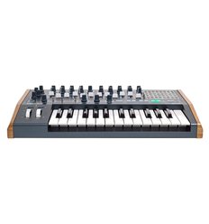 Arturia MiniBrute 2 analogni synthesizer